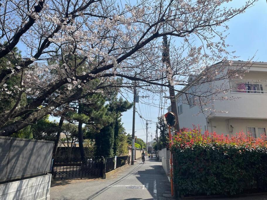 湘南海岸 可见海景 江之岛旅游推荐住宿 独立房源 带卫生间、厨房 近海滩 海景房 Lägenhet Fujisawa Exteriör bild